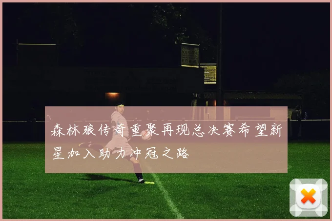 森林狼传奇重聚再现总决赛希望新星加入助力冲冠之路
