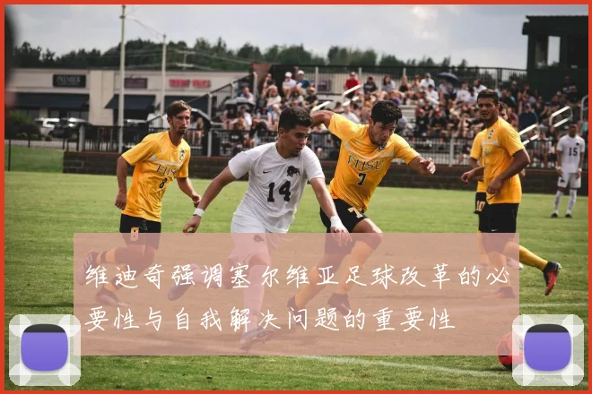 维迪奇强调塞尔维亚足球改革的必要性与自我解决问题的重要性